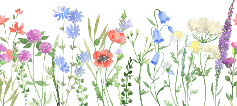 Watercolor Wildflowers Seamless Border