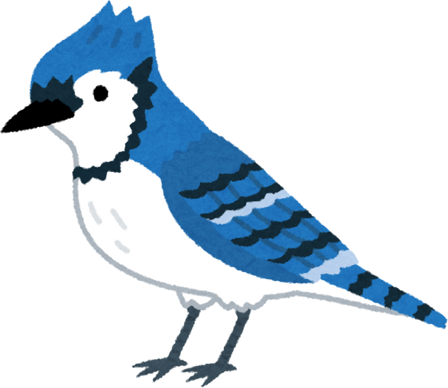 Illustration of a Blue Jay