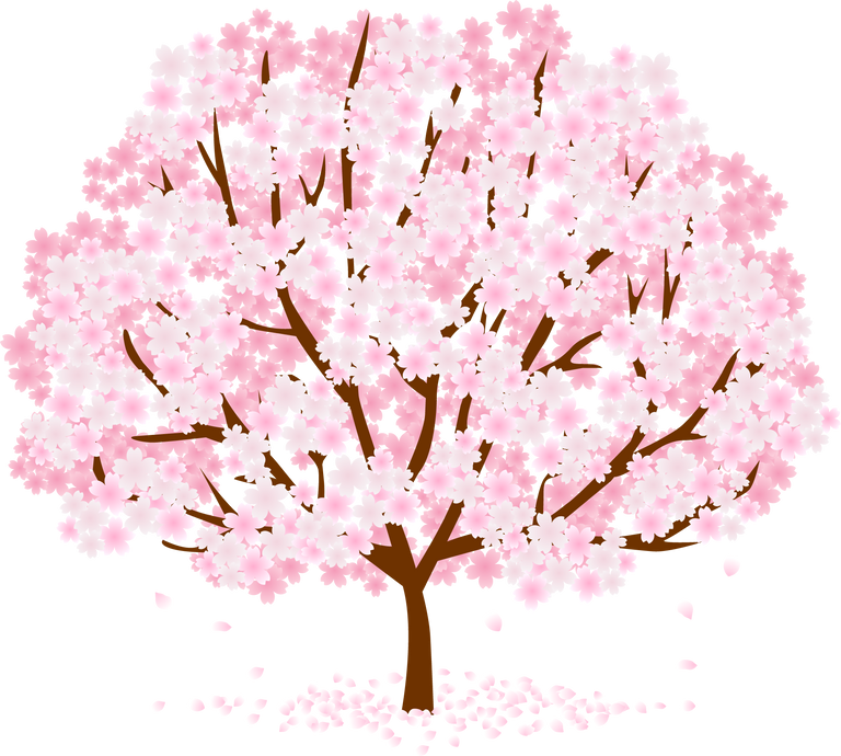 Sakura Tree Illustration